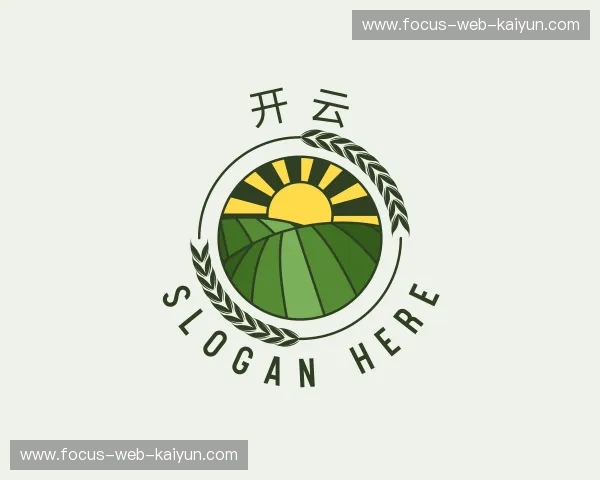 了解开云体育官网